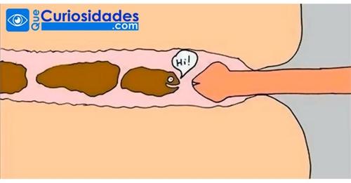 Revelado Las 4 Razones De Por Qué Las Mujeres No Les Gusta Por Detrás