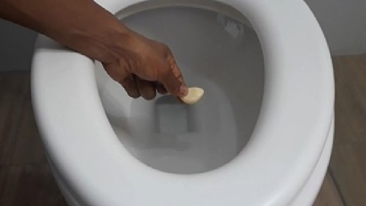 Coloqué 1 AJO en el Inodoro antes de dormir y por la mañana quedé sorprendida!