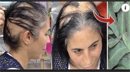Ella puso estas hojas a cocer