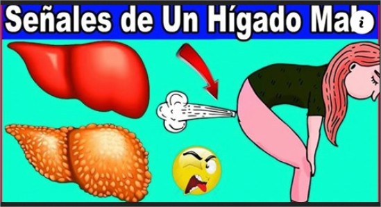 Señales de un higado malo