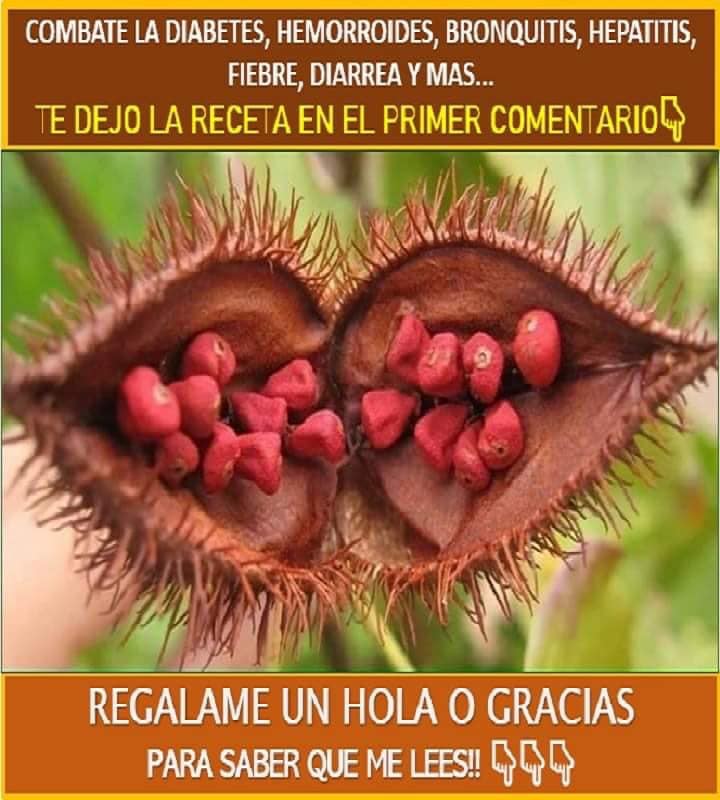 ¡SIRVE PARA TODO! DESTRUYE LA DIABETES, HEMORROIDES, BRONQUITIS, HEPATITIS, FIEBRE, DIARREA Y MÁS..