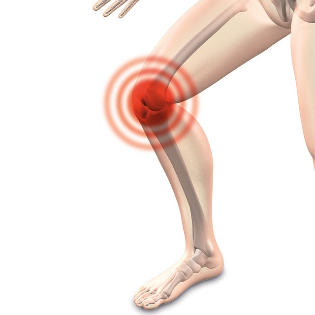 FORTALECER TUS RODILLA, CARTILAGO  Y LIGAMENTO