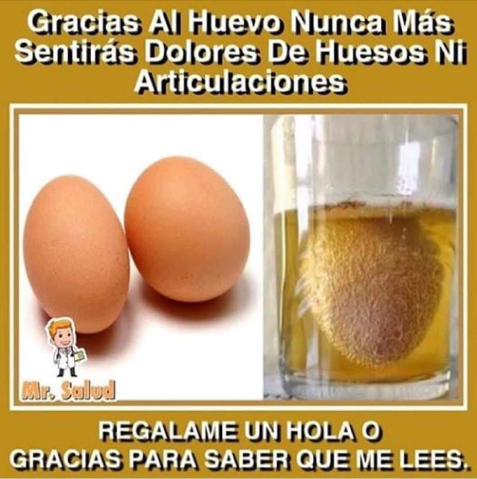 GRACIAS AL HUEVO NUNCA MÁS SENTIRÁS DOLORES DE HUESOS NI ARTICULACIONES