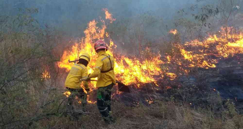 Todo lo que debes saber del Incendios en las Amazonas #PrayForAmazonas