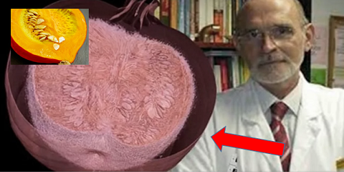 Doctor Revela Solución para SANAR los HUESOS y ARTICULACIONES