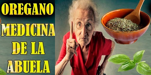 SOLO DOS HOJAS DE ORÉGANO POLEO CURA
