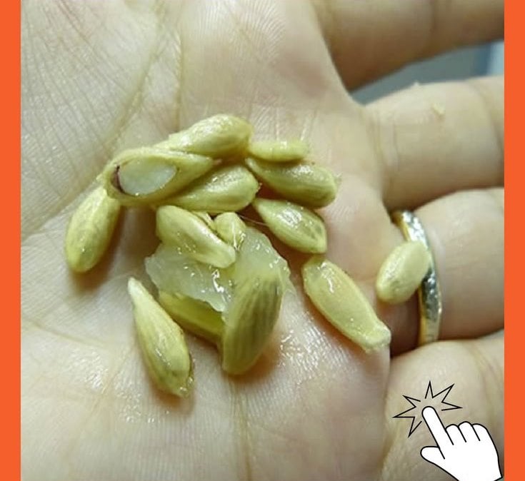 ALIVIA LA MIGRAÑA CON SAL Y LIMÓN: