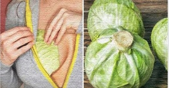 Mujer DURMIÓ CON ESTAS HOJAS DE COL «REPOLLO» EN SUS SENOS!