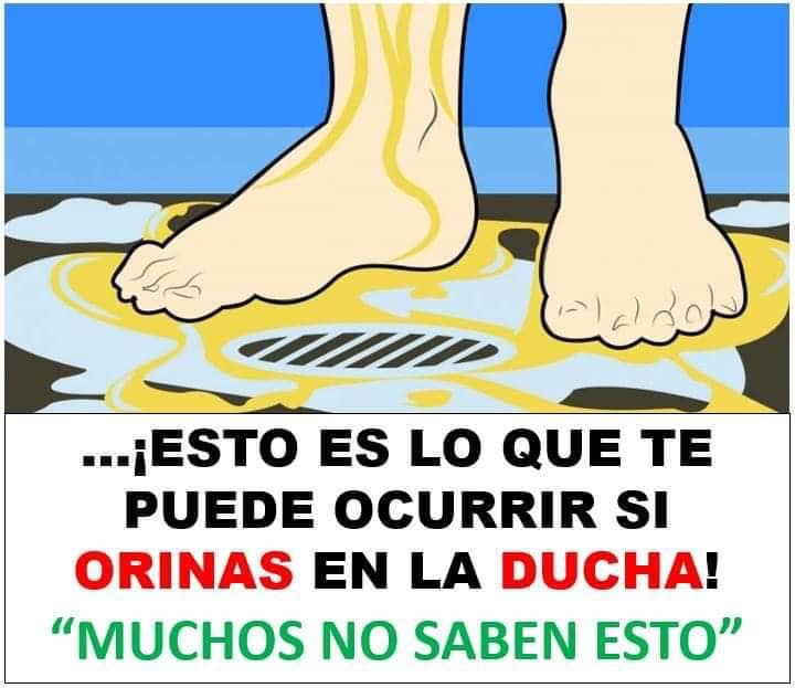 Orinas en la Ducha?