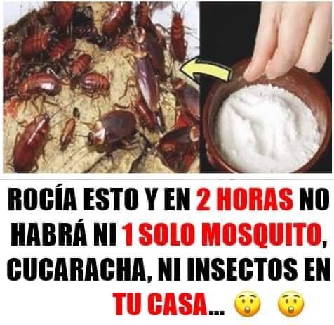 ALGUNA VEZ HAZ VISTO