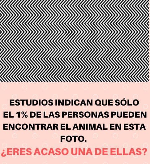 Estudia demuestra que solo el 1%