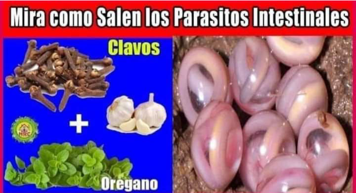 Mira como salen los PARASITOS