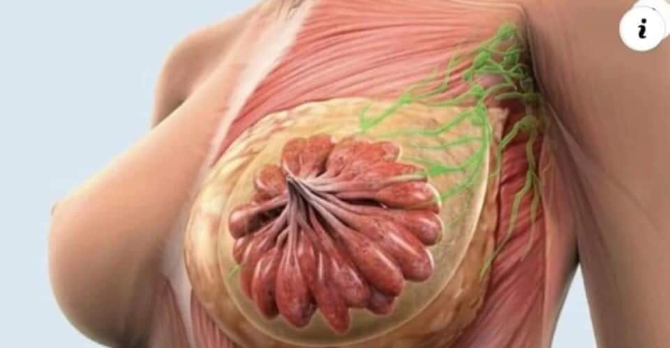 EL CÁNCER ES PRODUCIDO POR LA DEFICIENCIA DE ESTAS VITAMINAS