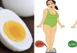 Dieta del huevo cosido: baja hasta 11kg en dos semanas lo mejor de todo es que no recuperas el peso nunca jamas.