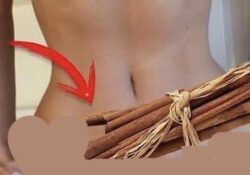 Así puedes aprovechar los beneficios de la canela para adelgazar