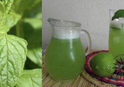 HIERBABUENA CON LIMON