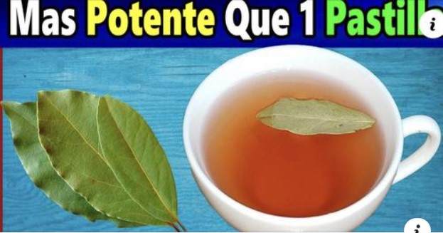Pastilla Laurel   Cinnamon
