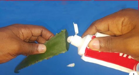 Aloe Vera and Toothpaste Mix