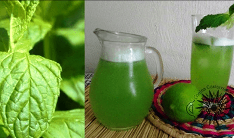 ESTE JUGO ELIMINA EL CANSANCIO CRÓNICO, AUMENTA LA MEMORIA Y MUCHO MÁS.